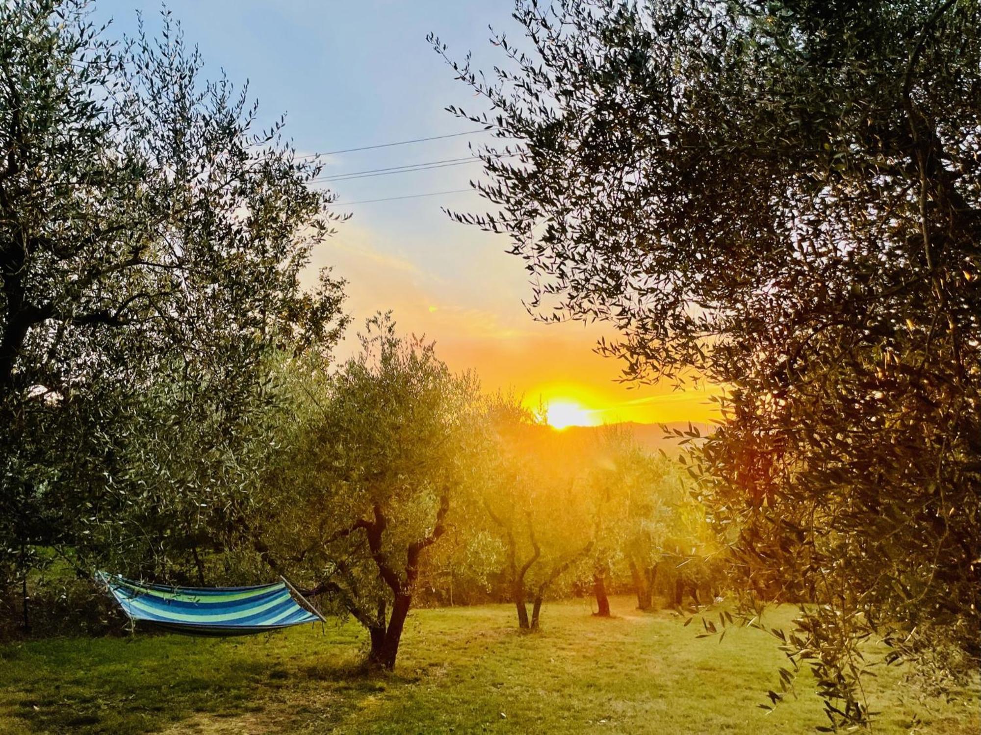 Agriturismo Casaviva Pozzo  Zewnętrze zdjęcie