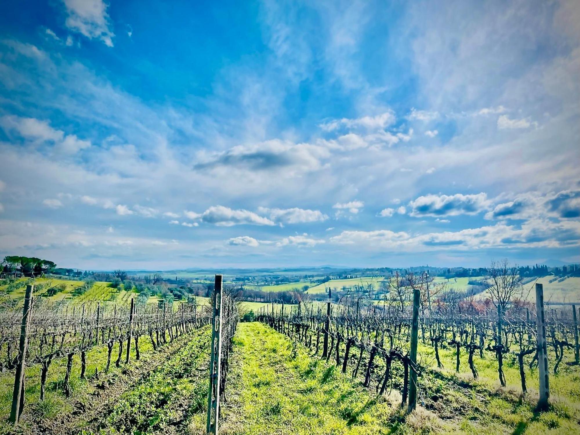 Agriturismo Casaviva Pozzo  Zewnętrze zdjęcie